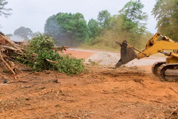 Ground Clearing in Nashua