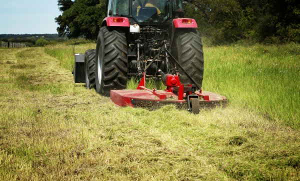 Brush Clearing Service in Nashua