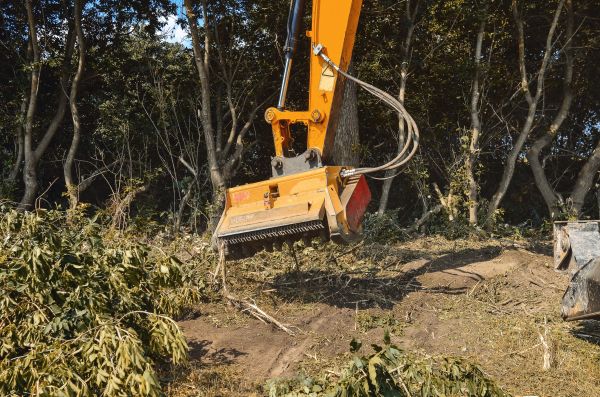 Brush Removal Service in Nashua