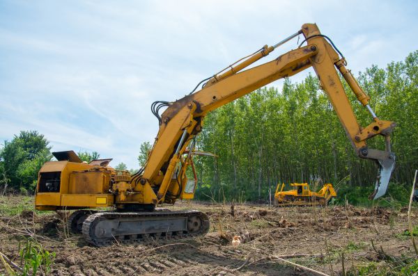 Farm Clearing in Nashua