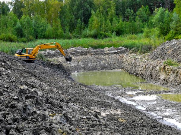 Cost of Lake Lot Clearing in Nashua