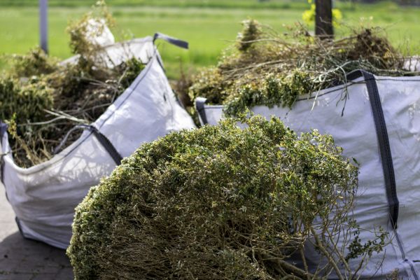 Cost of Bushes Clearing in Nashua