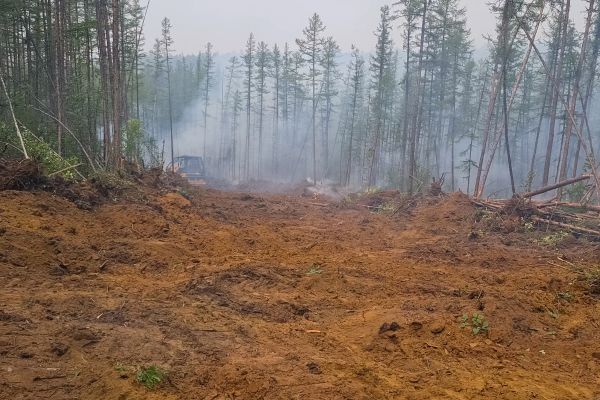 Cost of Hill Clearing in Nashua