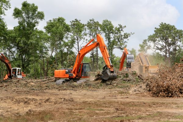 Commercial Lot Clearing in Nashua