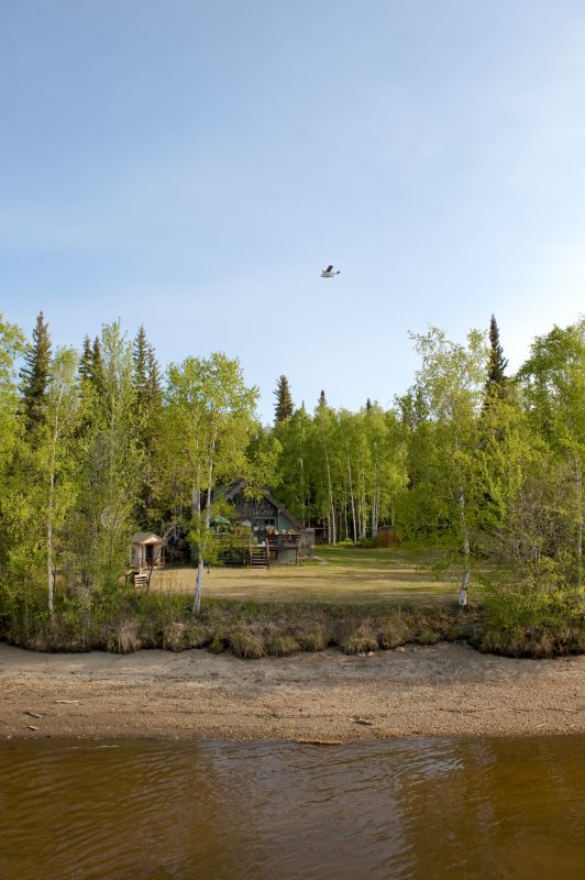 Spring Land Clearing Activity