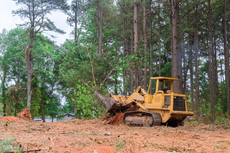Optimal Timing for Land Clearing